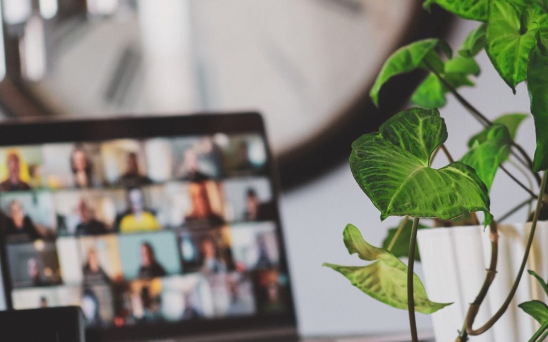 A plant in front of a laptop showing a virtual meeting.
